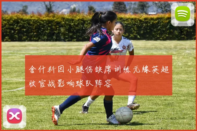 舍什科因小腿伤缺席训练无缘英超收官战影响球队阵容